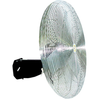 Oscillating Wall fan, Industrial, 3 Speed, 30" Diameter We Share Industrial Supply
