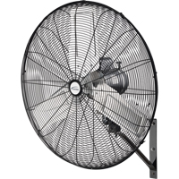 Ventilateur mural oscillant, Industriel, 2 vitesses, Diam&egrave;tre de 30" We Share Industrial Supply