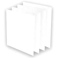 Pr&eacute;-filtres AeraMax Pro AM3 ou AM4, 13,75" la x 0,13" p x 14,38" h We Share Industrial Supply