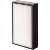 V&eacute;ritables filtre HEPA AeraMax Pro AM2 1-3/4", Boîte, 7,38" la x 1,88" p x 12,88" h We Share Industrial Supply
