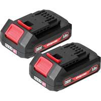 Piles au lithium 2.0Ah- Paquet de 2, 20 V We Share Industrial Supply