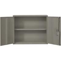 Wall Mounted Cabinet, Steel, 2 Shelves, 30" H x 36" W x 12" D, Grey We Share Industrial Supply