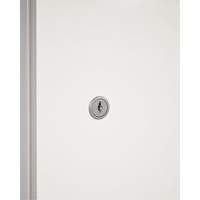 Cabinet Lock & Keys We Share Industrial Supply