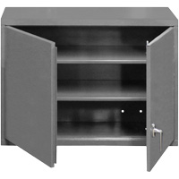 Armoire murale, 27" h x 29-7/8" la x 13-11/16" p, 2 tablettes, Acier, Gris We Share Industrial Supply