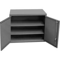 Armoire murale, 27" h x 13-11/16" la x 35-7/8" p, 2 tablettes, Acier, Gris We Share Industrial Supply