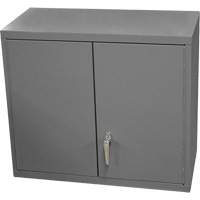Armoire murale, 27" h x 13-11/16" la x 35-7/8" p, 2 tablettes, Acier, Gris We Share Industrial Supply