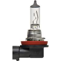 Ampoule de base pour feu avant H8, Halog&egrave;ne, 35 W, Blanc cass&eacute; We Share Industrial Supply