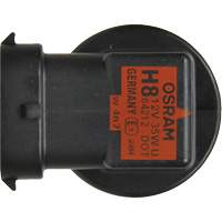 Ampoule de base pour feu avant H8, Halog&egrave;ne, 35 W, Blanc cass&eacute; We Share Industrial Supply