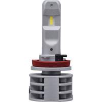 Ampoule pour feu avant H11, DEL, 13,2 W/17 W, Blanc We Share Industrial Supply