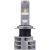 Ampoule pour feu avant H7, DEL, 13,2 W/17 W, Blanc We Share Industrial Supply