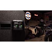 Chargeur de batterie 2 sorties de 4 A Genius 2X2 We Share Industrial Supply