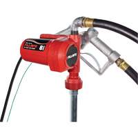 Pompe de transfert de carburant 12 V CC avec pistolet We Share Industrial Supply