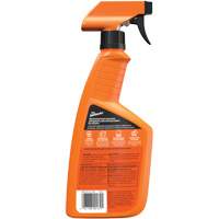 Multi-Purpose Auto Cleaner, 16 oz./473 ml, Trigger Bottle We Share Industrial Supply