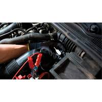 Tall Frame Brake-Pro Pressure Brake Bleeder with Adapters We Share Industrial Supply