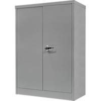 Counter-High Storage Cabinet, Steel, 2 Shelves, 42" H x 36" W x 24" D, Grey We Share Industrial Supply