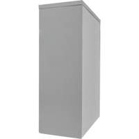Counter-High Storage Cabinet, Steel, 2 Shelves, 42" H x 36" W x 24" D, Grey We Share Industrial Supply