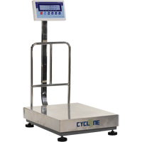Cyclone 300 Bench and Platform Scale, 600 lbs. / 300 kg Capacity, 17-3/4" L x 23-3/5" W We Share Industrial Supply