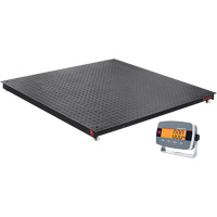 Defender 3000 Floor Scale, 5000 lbs. Capacity, 4' L x 4' W We Share Industrial Supply