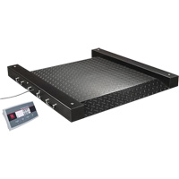 Defender 2500 Drum Scale, 500 lbs. Capacity, 2.5' L x 2.5' W We Share Industrial Supply