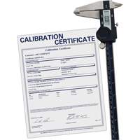 Pied &agrave; coulisse num&eacute;rique avec certificat de traçabilit&eacute;, R&eacute;solution de 0,0005" (0,01 mm), 0" - 12" (0 mm - 300 mm) gamme de mesure We Share Industrial Supply