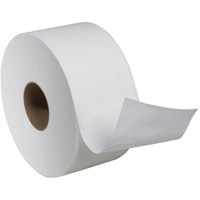 Rouleau de papier hygi&eacute;nique Advanced Soft Mini, Rouleau G&eacute;ant, 2 Pli, Longueur 751', Blanc We Share Industrial Supply