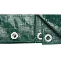 B&acirc;che, Robuste, Vert, 8' x 6' x 9 mils We Share Industrial Supply