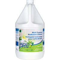 Multi-Purpose Concentrated Bathroom Cleaner, 4 L, Jug We Share Industrial Supply