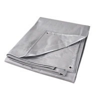 B&acirc;che, Super robuste, Argent, 10' x 8' x 12 mils We Share Industrial Supply