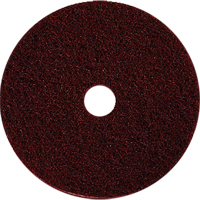 Floor Machine Pads