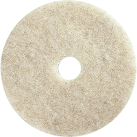 Floor Maintenance Pads, 21", Burnishing, Brown We Share Industrial Supply