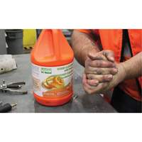 Orange Hand Cleaner, Pumice, 3.6 L, Jug, Orange We Share Industrial Supply