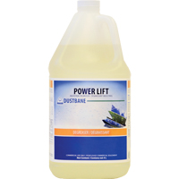 D&eacute;graissant industriel Power Lift, 4 L, Cruche We Share Industrial Supply