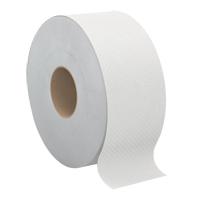 Papier hygi&eacute;nique Pro Select, Rouleau G&eacute;ant, 2 Pli, Longueur 500', Blanc We Share Industrial Supply