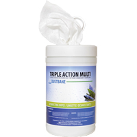 Triple Action Multi Disinfecting Wipes, 7" x 8", 120 Count We Share Industrial Supply