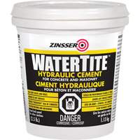 Ciment hydraulique Watertite We Share Industrial Supply