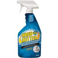 Vaporisateur contre les moisissures, 650 ml, Bouteille &agrave; g&acirc;chette We Share Industrial Supply