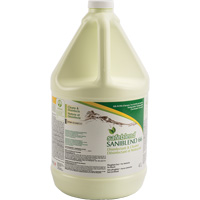 SaniBlend 66 Concentrated Disinfectant Cleaner, 4 L, Jug We Share Industrial Supply