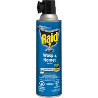 Insecticide contre les gu&ecirc;pes et les frelons Raid, 400 g, &agrave; base de solvant We Share Industrial Supply