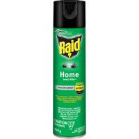 Insecticide pour insectes domestiques Raid, 350 g, &agrave; base de solvant We Share Industrial Supply