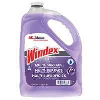 Nettoyant multi-surface non ammoniac&eacute; de Windex, 3,8 L, Cruche We Share Industrial Supply