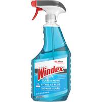 Nettoyant pour verre Windex avec Ammonia-D, 32 oz liq., Bouteille &agrave; g&acirc;chette We Share Industrial Supply