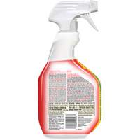 Disinfecting Bio Stain & Odour Remover, 946 ml, Trigger Bottle We Share Industrial Supply