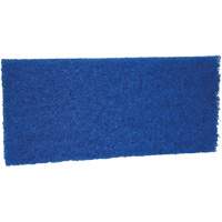 Medium Scrub Pad, 10" L x 4-1/2" W We Share Industrial Supply