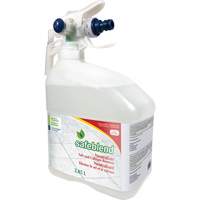 Concentrated Descaler, Cleaner & Dust Remover, Jug, 4 L We Share Industrial Supply