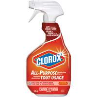 All-Purpose Disinfecting Cleaner Spray, 946 ml, Trigger Bottle We Share Industrial Supply