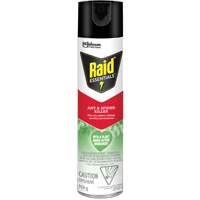 Insecticide pour araign&eacute;es et fourmis Essentials Raid, 350 g, Canette a&eacute;rosol We Share Industrial Supply