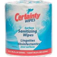 Surface Sanitizing Wipes, Packet We Share Industrial Supply