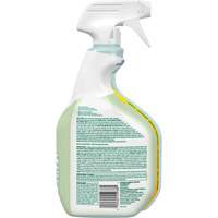 CloroxPro Clorox EcoClean Disinfecting Cleaner, 946 ml, Trigger Bottle We Share Industrial Supply