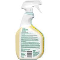 CloroxPro Clorox EcoClean All-Purpose Cleaner, 946 ml, Trigger Bottle We Share Industrial Supply