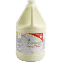 23 Floor Sealer, 4 L, Jug We Share Industrial Supply
